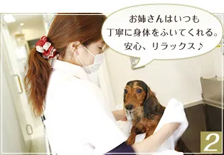 性格を把握しながら、丁寧にシャンプー