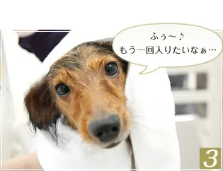 ワンちゃんがうっとりとリラックスしている様子