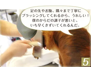 皮膚も含めて身体の状態をチェック