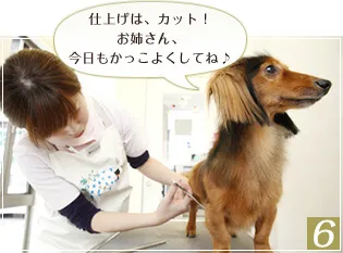 ワンちゃんの毛質や個性にあわせて