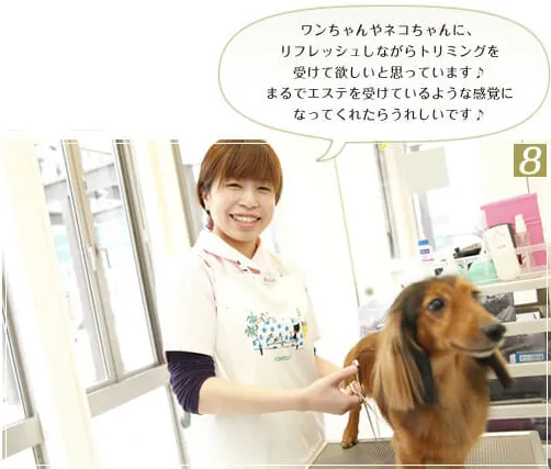 ある日のトリミングのご紹介