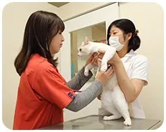 充実したスタッフ体制