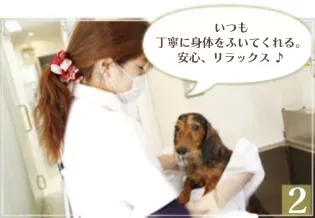 性格を把握しながら、丁寧にシャンプー
